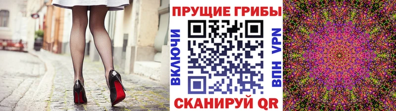 МЕГА ТОР  купить наркотики сайты  Зарайск  Псилоцибиновые грибы Psilocybe 